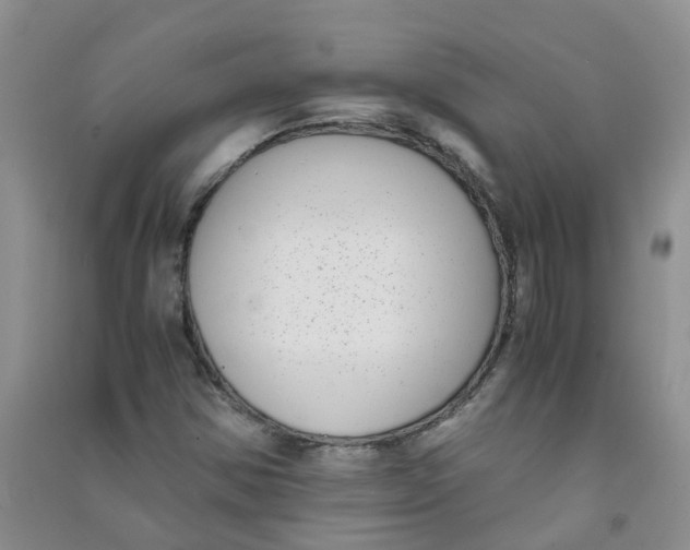 X0000090701354200708171838