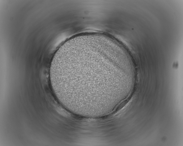 X0000090701355200708171838