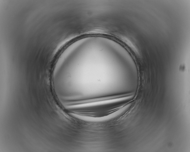 X0000090701356200708171838