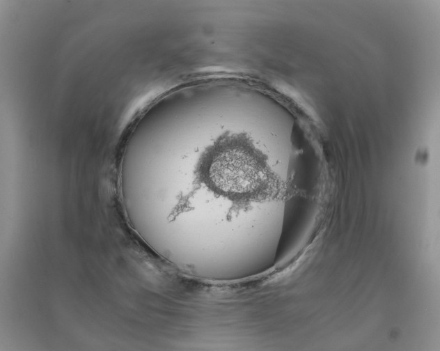 X0000090701357200708171838