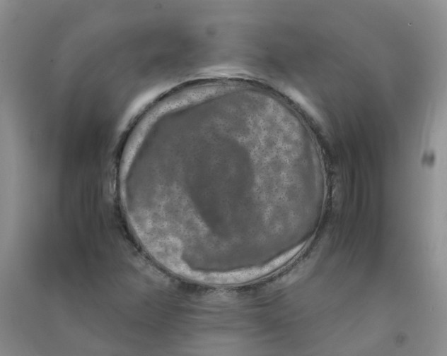 X0000090701358200708171838