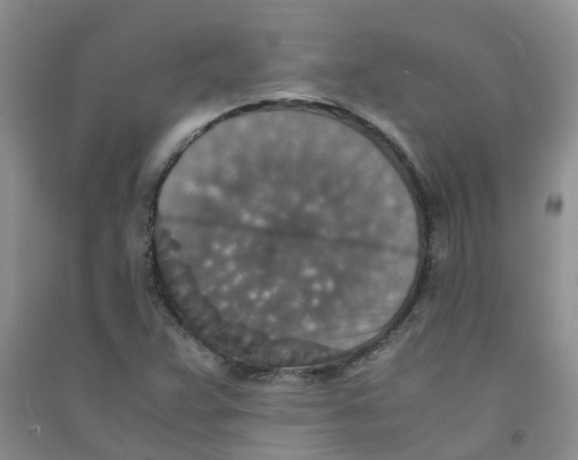 X0000090701359200708171838