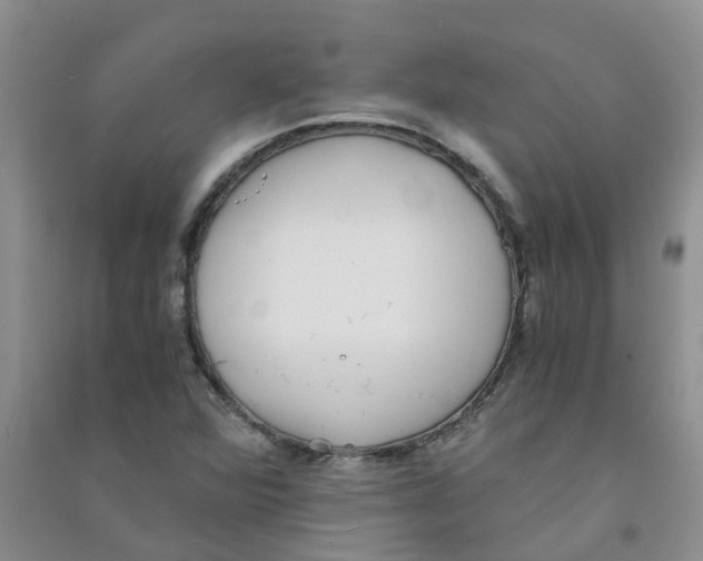 X0000090701360200708171838