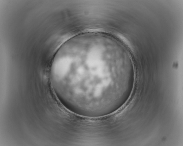 X0000090701361200708171838