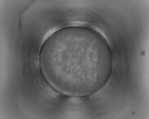 X0000090701362200708171838