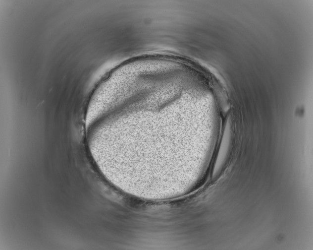 X0000090701363200708171838