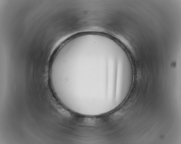 X0000090701364200708171837