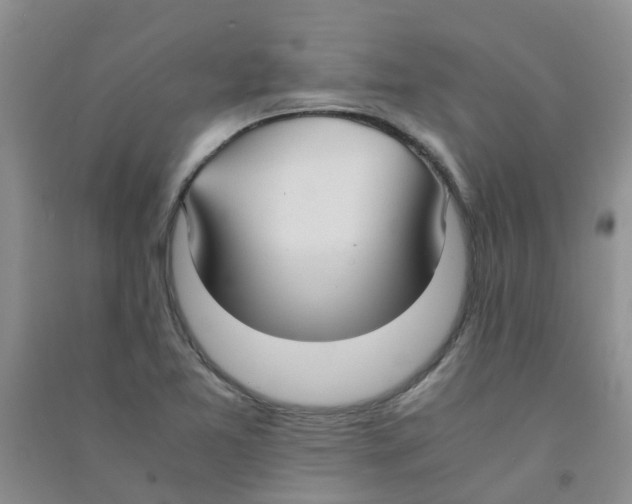 X0000090701365200708171837