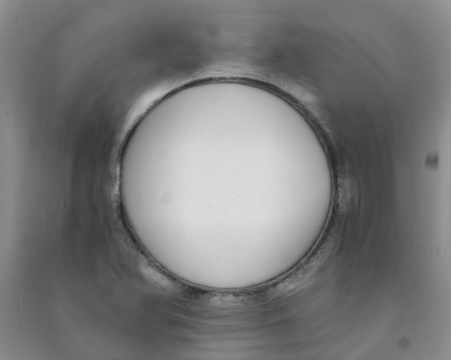 X0000090701366200708171837