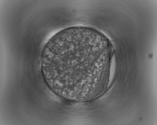 X0000090701367200708171837