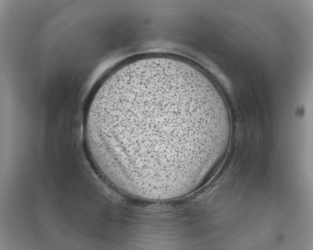 X0000090701368200708171837