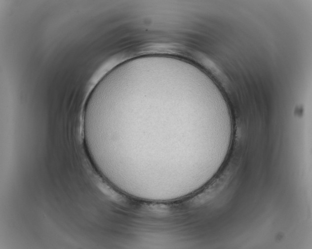 X0000090701370200708171837