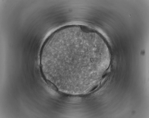 X0000090701372200708171837