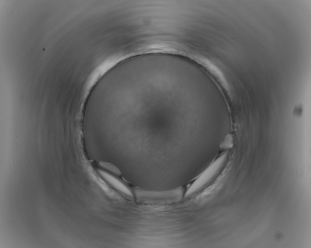 X0000090701373200708171837