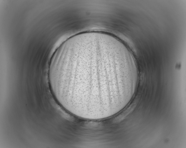 X0000090701374200708171837