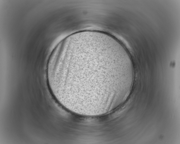 X0000090701375200708171837