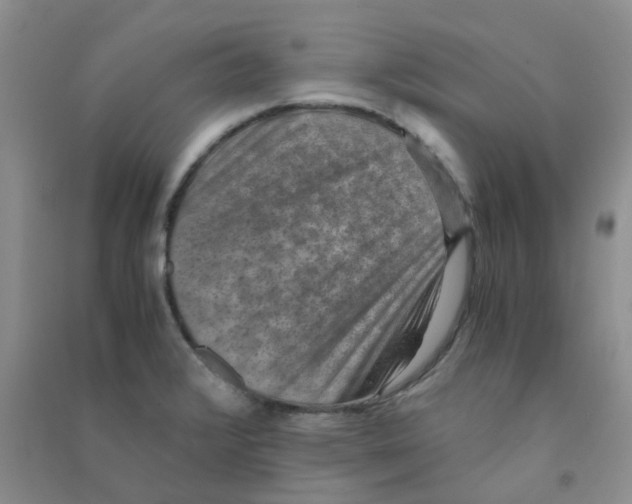 X0000090701376200708171837