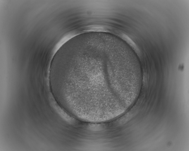 X0000090701378200708171837