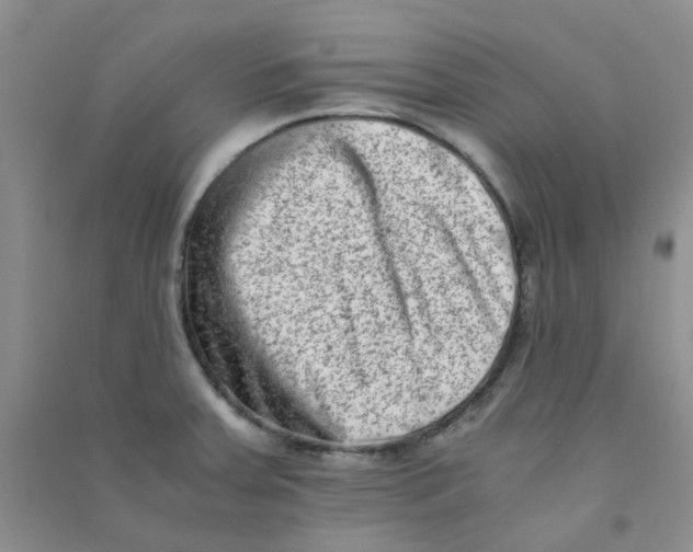 X0000090701379200708171837