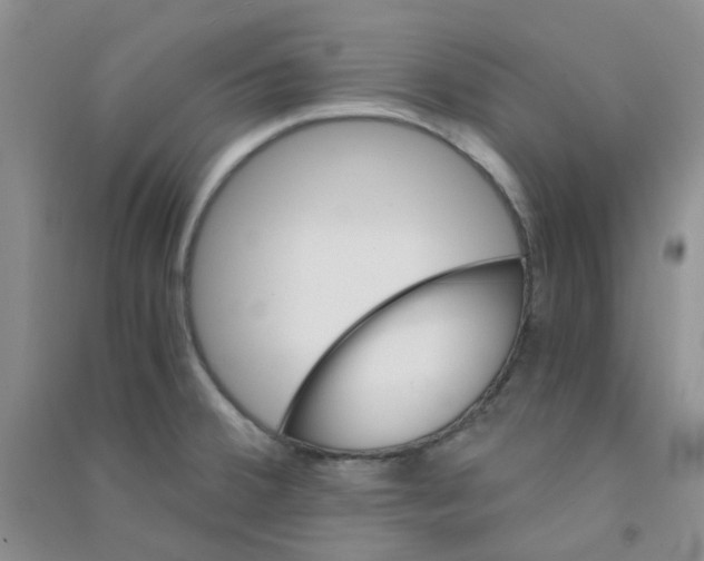 X0000090701380200708171837