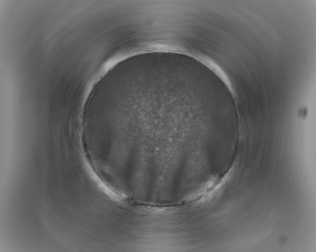 X0000090701381200708171837