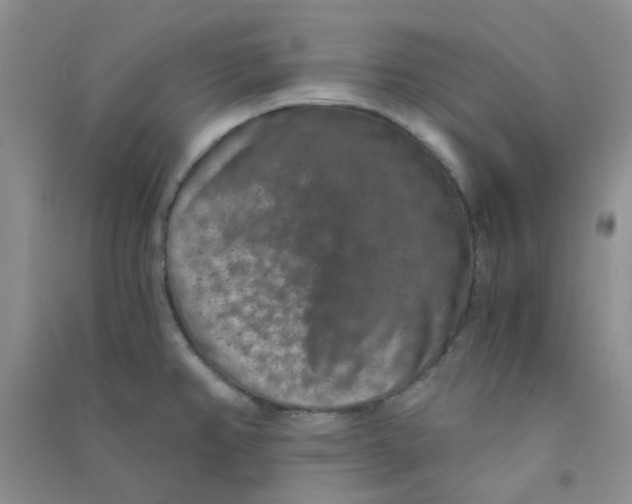 X0000090701382200708171837