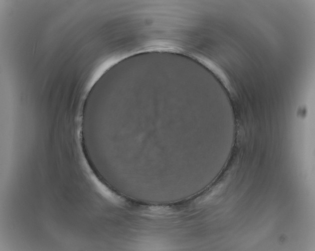 X0000090701383200708171837