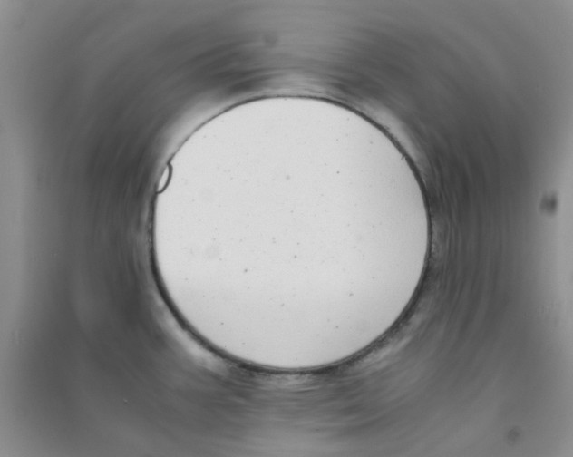 X0000090701387200708171837