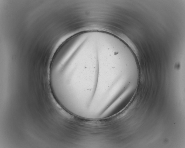 X0000090701388200708171837