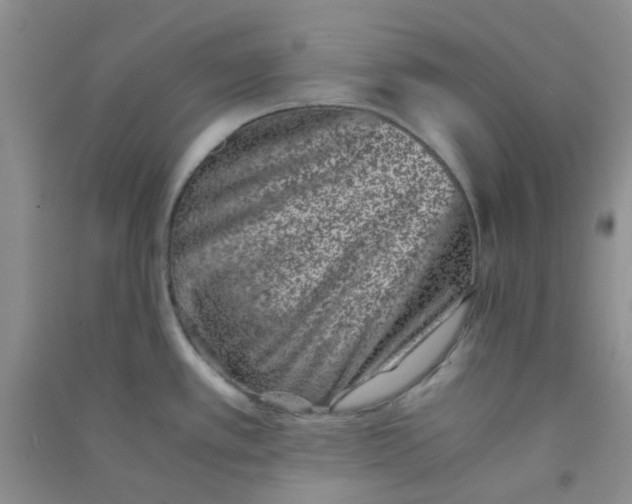 X0000090701389200708171837