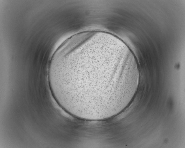 X0000090701390200708171837