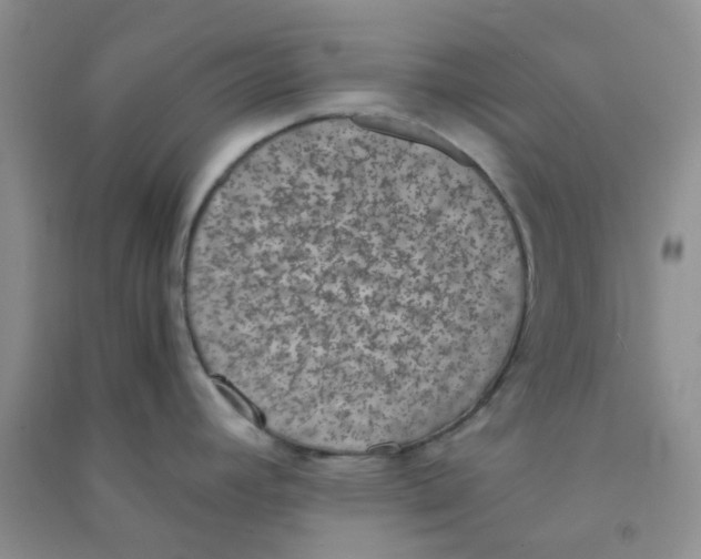 X0000090701392200708171837