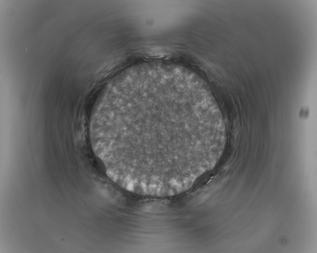 X0000090701394200708171837