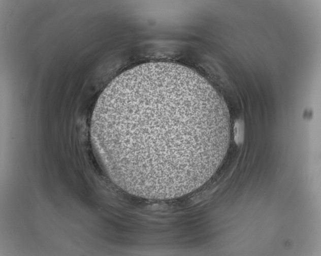 X0000090701395200708171837