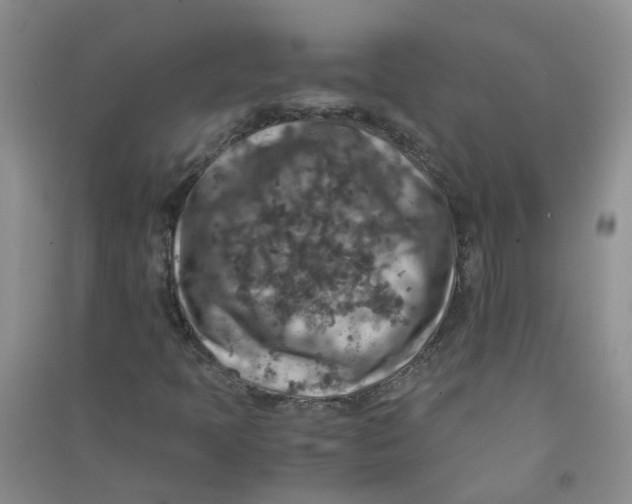 X0000090701397200708171837