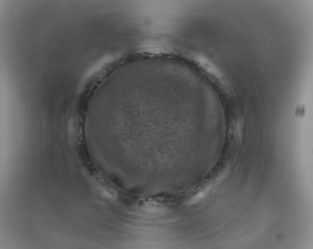 X0000090701398200708171837