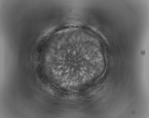 X0000090701399200708171837