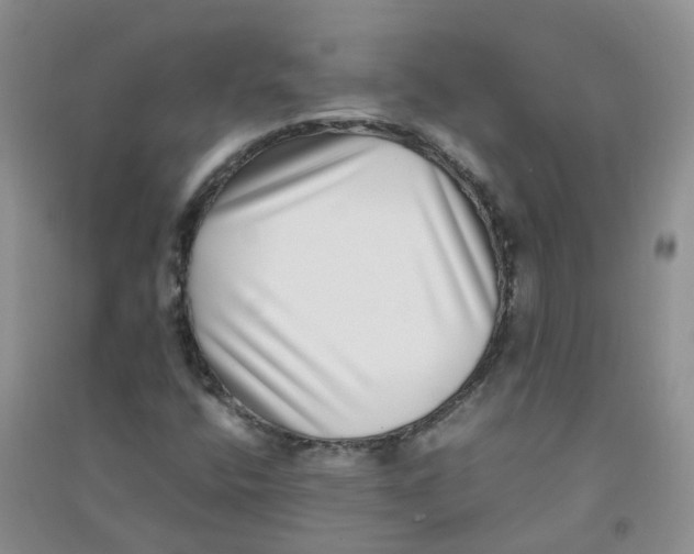 X0000090701400200708171837