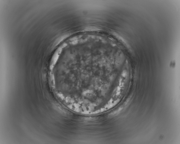 X0000090701401200708171837