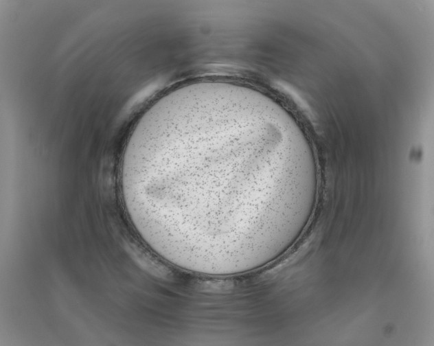 X0000090701403200708171837