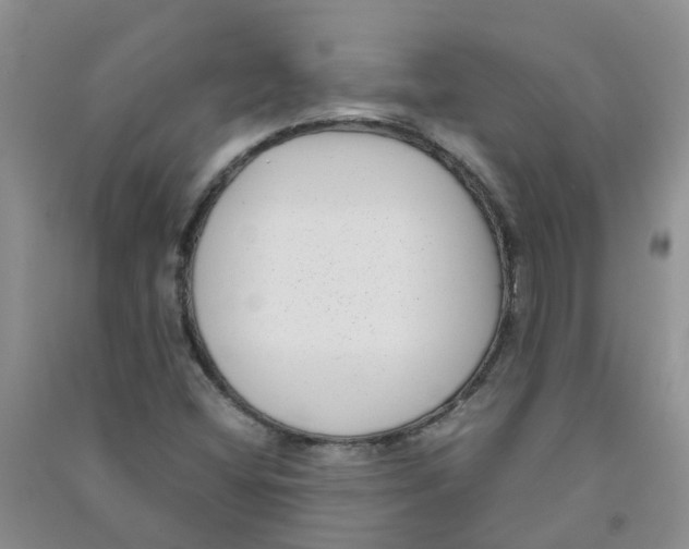 X0000090701404200708171837