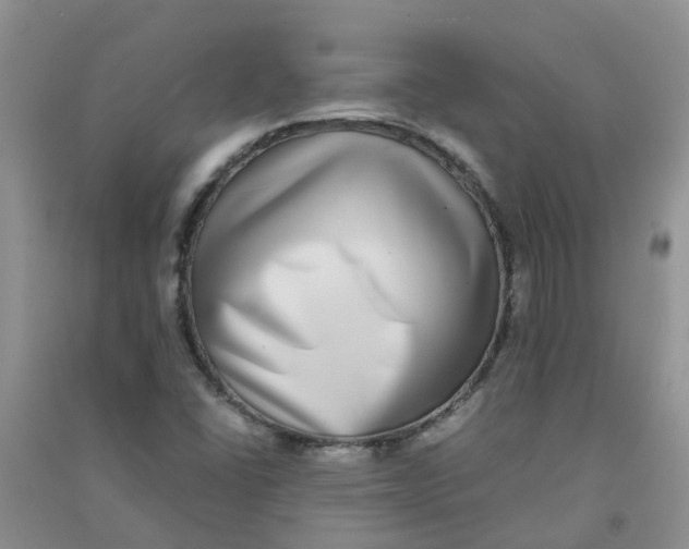 X0000090701406200708171837