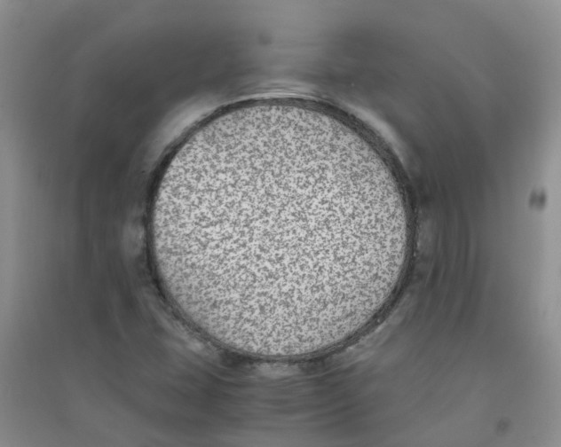 X0000090701407200708171837