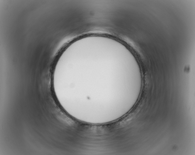 X0000090701408200708171837