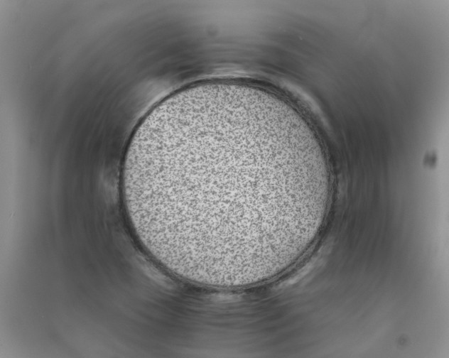 X0000090701409200708171837