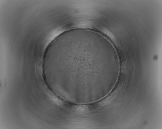 X0000090701410200708171837