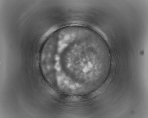 X0000090701411200708171837