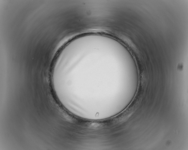 X0000090701412200708171837