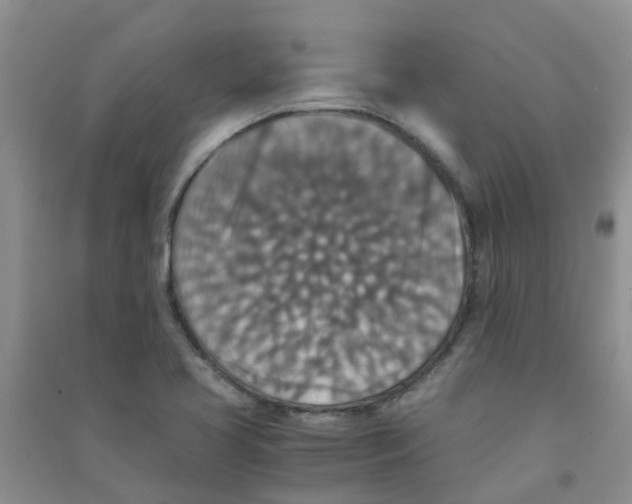 X0000090701413200708171837