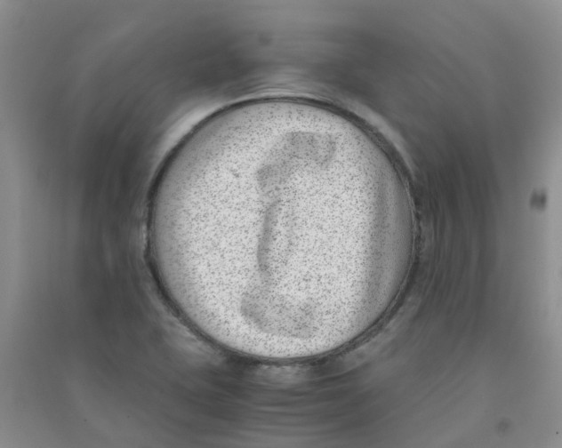 X0000090701415200708171837